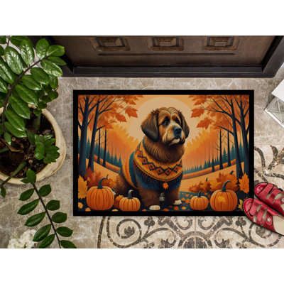 Cholet Non-Slip Doormat