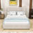 Queen Sized Upholstered Platform Bed with Tufted Headboard and Built-in Storage Drawers-1447297833