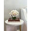 Orchid in Flat Glass Vase-2083013312