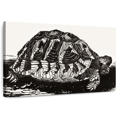 Brampt la tortue