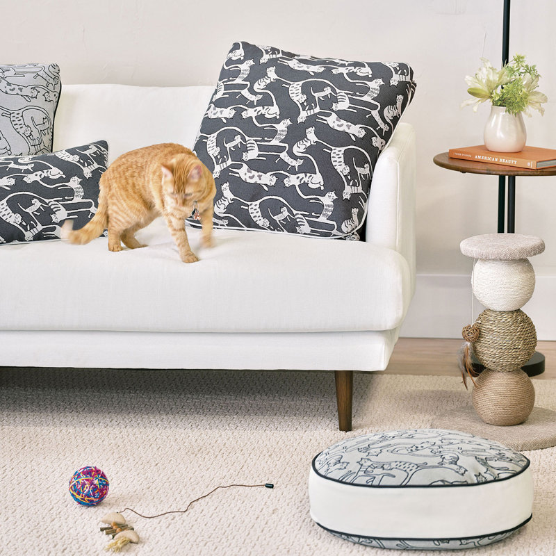 Pets Square Pillow Cover & Insert, Cloud