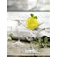 Verre à cocktail Perfection, transparent, 6 pièces-86704384