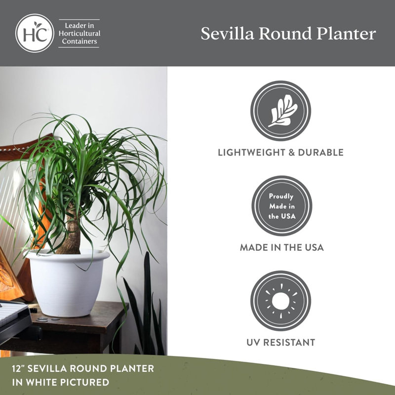  Sevilla Self-Watering Pot and Internal Disk 14 Inch, Cappuccino