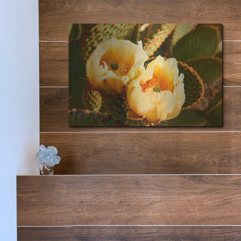 «Prickly Pear Cactus Blooms Az 8639» par Mike Jones, art mural en métal, 16 po x 12 po, 16 po x 12 po