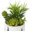 Feuillage artificiel en plastique Cole & Grey