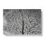 In A Winter Forest - Wrapped Canvas-55308231