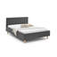 Demitrius Upholstered Bed-695559551-695559520