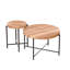 Ensemble de 2 tables basses et tables de bout - Panneau de fibres à densité moyenne imperméable avec revêtement en PVC, conception cylindrique vieillie, pieds en métal - charme rustique classique