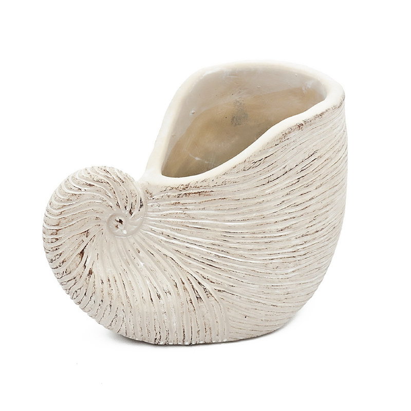Pot décoratif Nautilus Shell - pot décoratif texturé beige sable et ciment 8,5 po, H 6,3 po x l 5,5 po x P 8,5 po