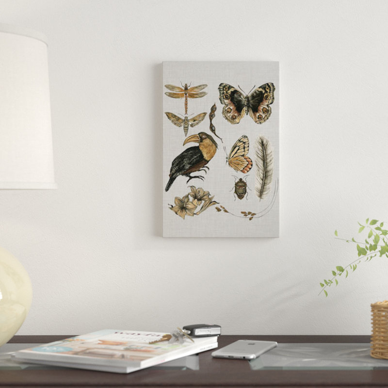 « nature etudes i », reproduction sur toile, Papier d'art encadré noir, H 32 po x l 24 po x P 1 po