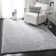 Danyell Solid Colour Shag Area Rug