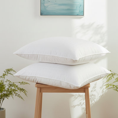 Oreiller en mélange de duvet triple chambre Triple