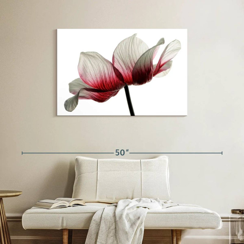 Harnek Red And White Ranunculus, 26" H x 39" W