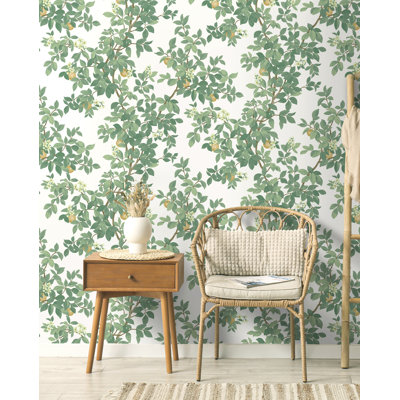 Orange Tree Cream and Green Non-Pasted Wallpaper