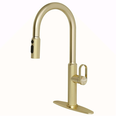 Pull-out kitchen faucet