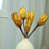 Yellow selected