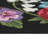 Kincaid Secret Garden Indoor/Outdoor Area Rug-1568187507