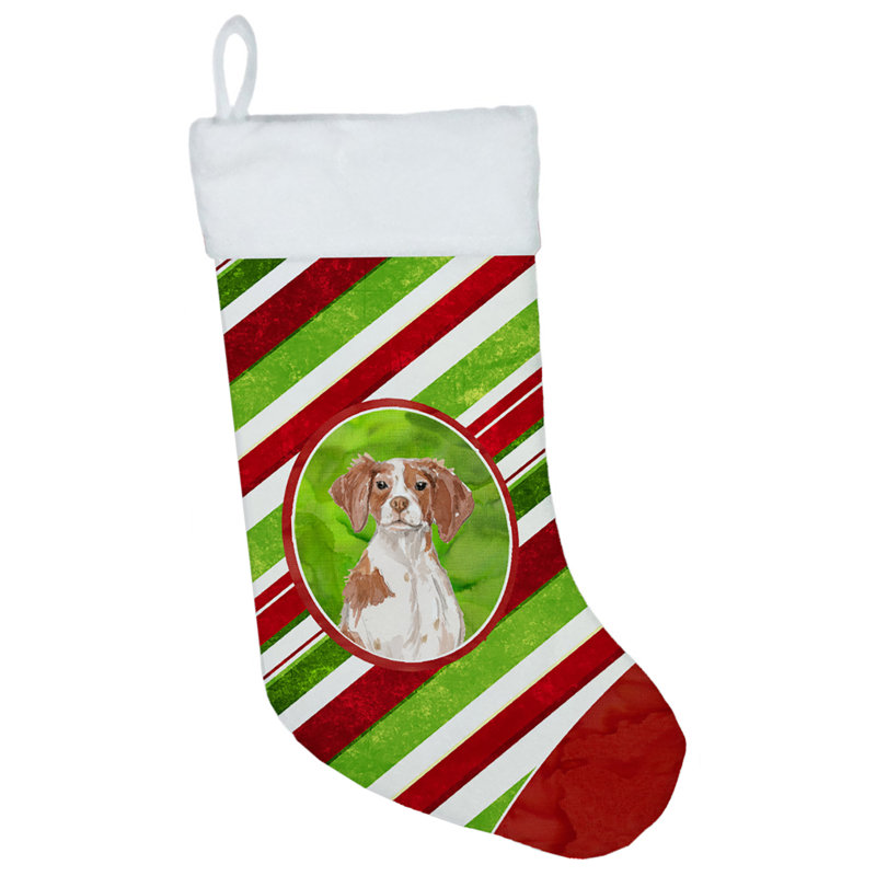 Chaussette de noël à rayures à sucre, Épagneul Brittany