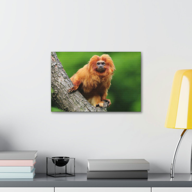 No Frame Print on Canvas