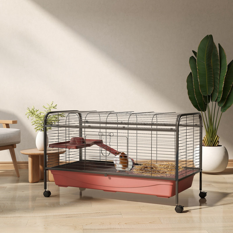 Maisonnette 48 po pour petit lapin et furet avec mangeoire, roues, plateforme, rampe rouge / noir