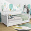 Dalen Twin Size Daybed with 3 Drawers-1693256147