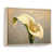 Natural Floater Framed