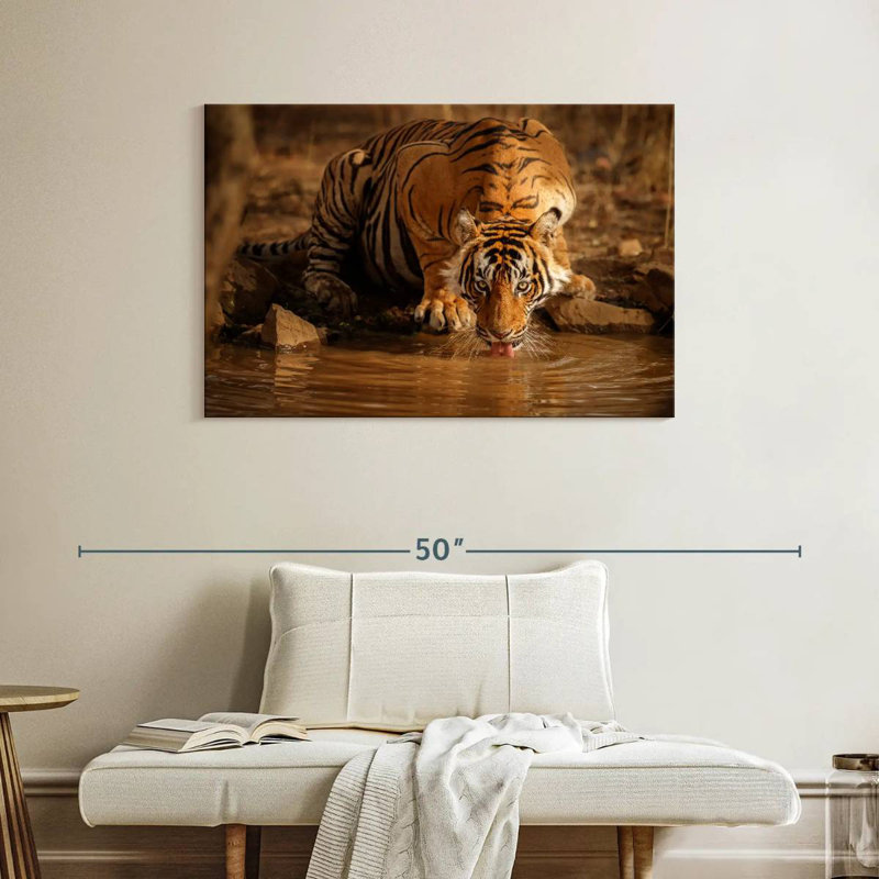 Brampt Drinking Wild Tiger, 26" H x 39" W