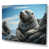 Wrapped Canvas