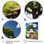 Impression sur toile florale et botanique-1444412534-1444412536