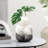 Elowen Swirl 9" Handmade Black / White Blown Glass Vase-1749528829