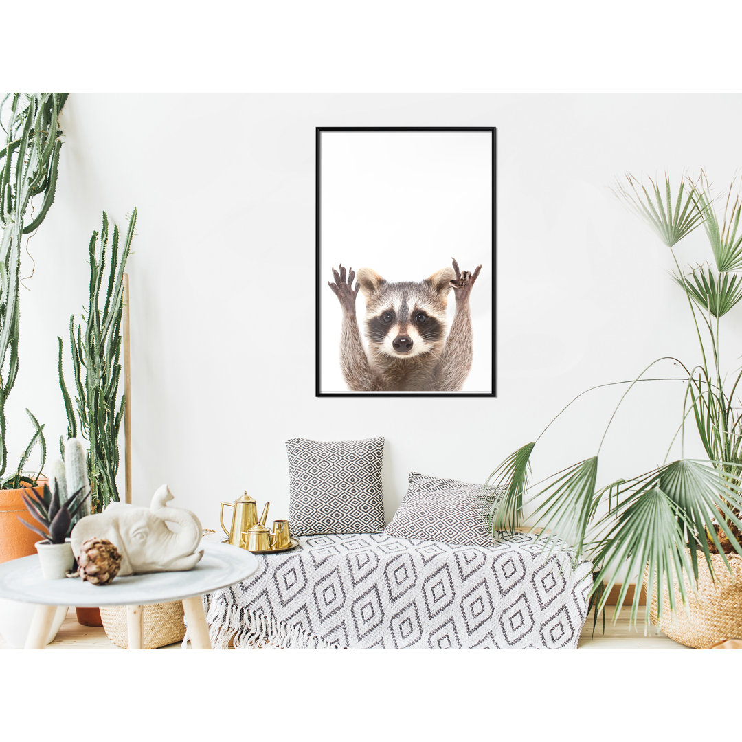 Gerahmter Fotodruck Funny Racoon