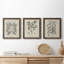 Antique Black and White Botanical VII - Ensemble de 3 reproductions d'art sur toile-282181156-282180057