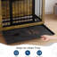 Dog House
