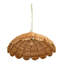 1 - Light Natural Pendant