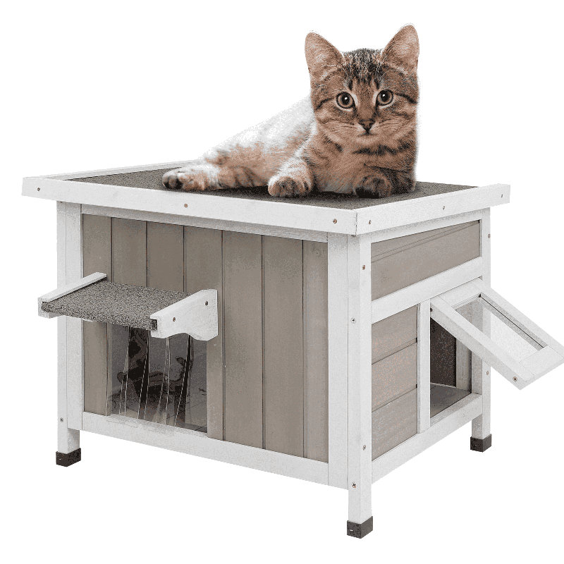 Maison pour chat, Normal