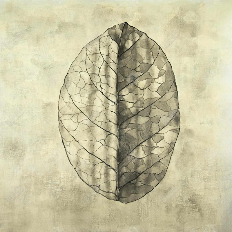 «Translucide»