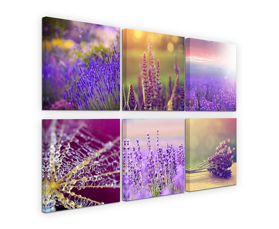 6-tlg. Leinwandbilder-Set Lavendel Blumen Spinnennetz Sonne