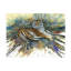 «Dave Bartholet Tigris», art sur toile-1664579240