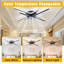 Ventilateur de plafond en acrylique Modern Branch - 7 pales PC durables - Moteur silencieux écoénergétique de 15 W - Installation facile - Luminaire domestique - Noir