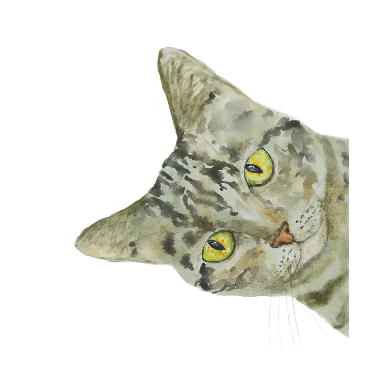 Peeking Tabby Cat by Alexey Dmitrievich Shmyrov - Wrapped Canvas Print, 66.04 cm H x 66.04 cm W x 3.175 cm D