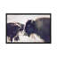 Photographie buffalo-43719317-43719323