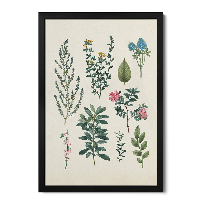 Victorian Garden VI Light - reproduction d'art murale - affiche de galerie, H 24 po x l 16 po