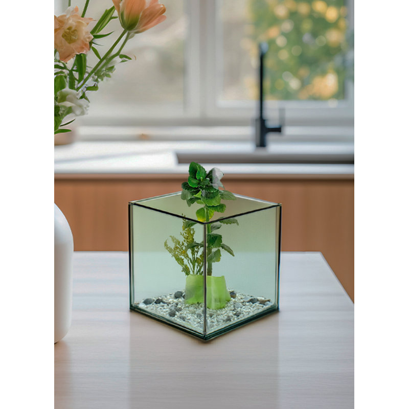 Photophore en verre cube