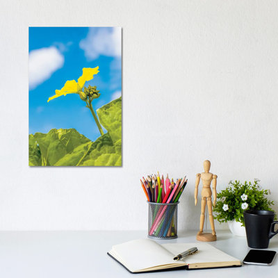 Panoramic Images - Print on Canvas