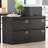 Locked Metal File Cabinet For Office Use - 2 Drawer, Black, Widened Drawers Better Handling Drawer Design Efficient