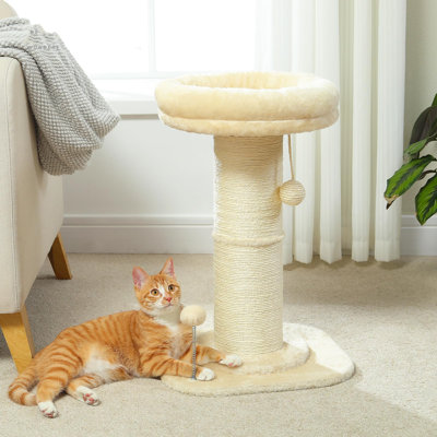 Scratching Post