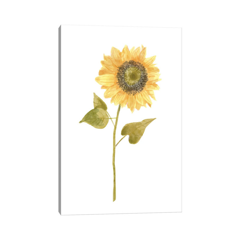 Single Sunflower Portrait I by Bannarot - Wrapped Canvas Gallery-Wrapped Canvas Giclée, 20.32 cm H x 30.48 cm W