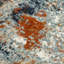 Tapis abstrait rouille / bleu Abstract-91518003