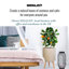 Concrete Effect Cylinder Round Planter on Hardwood Legs, Round Indoor Plant Pot Stand for Indoor Plants, Indoor Flower Pot with Plaited Pattern-703551392-703551397