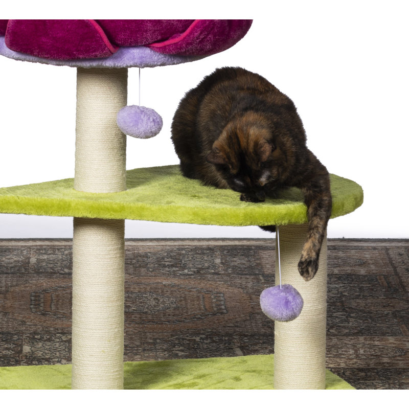 Borrego 28.375'' H Cat Tree